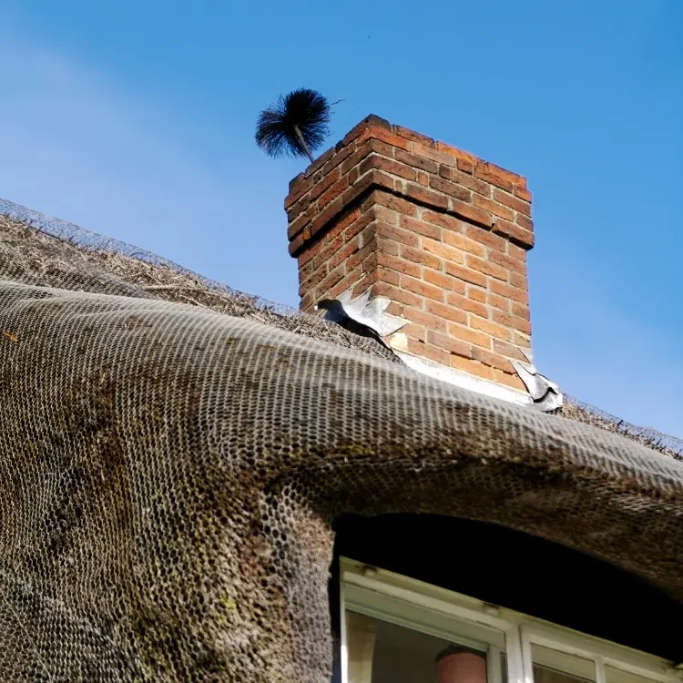 Why Choose Chimney Team NY for Emergency Sweeps